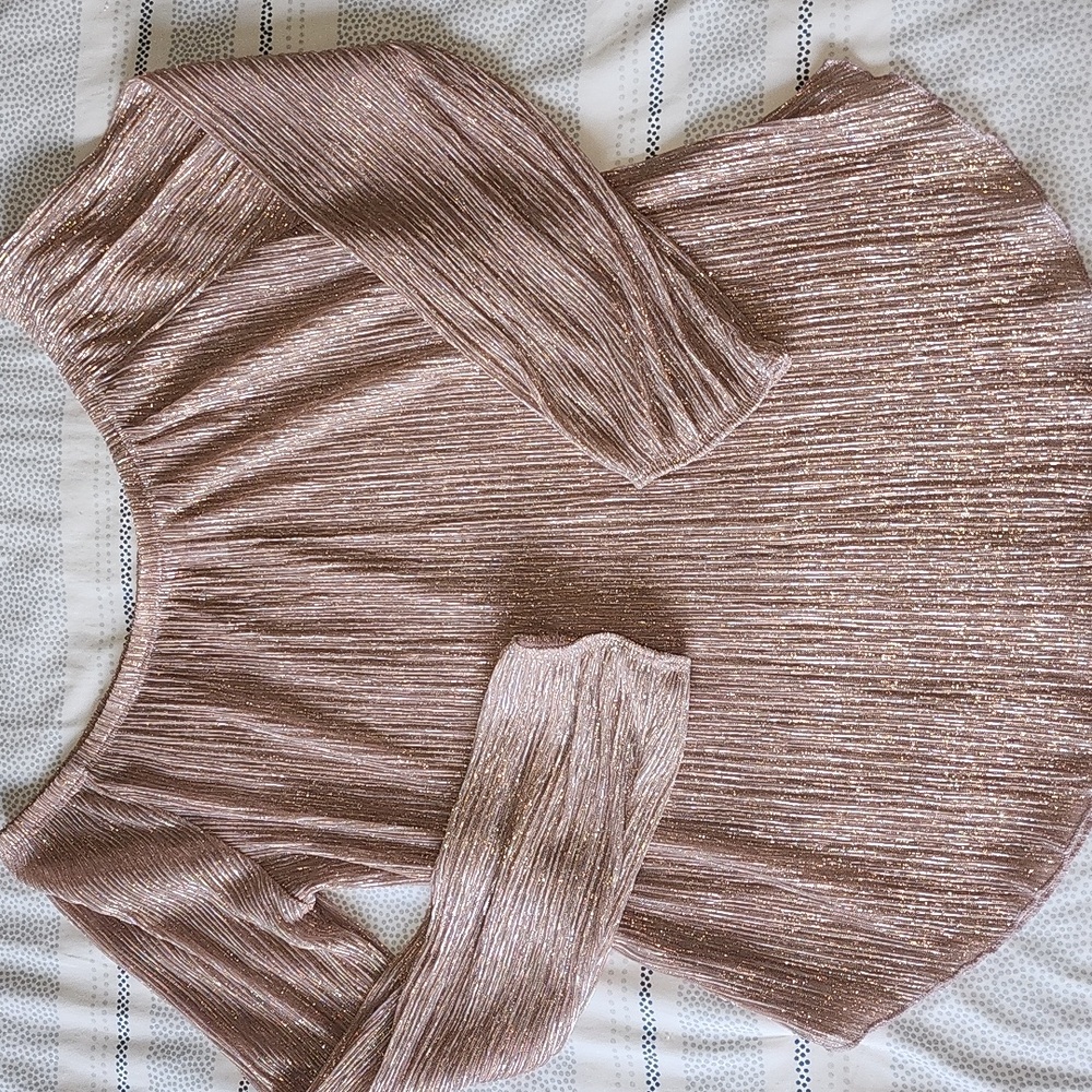Potters Pot Sheer Champagne Rose Gold Color Top